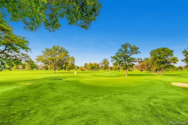 view of community with a yard and view of golf course