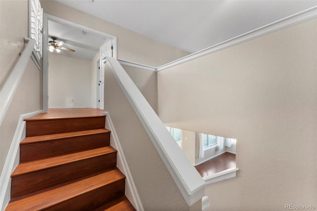 stairway featuring ceiling fan