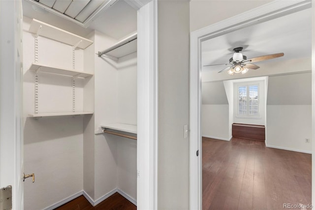 walk in closet with ceiling fan, dark hardwood / wood-style flooring, and vaulted ceiling