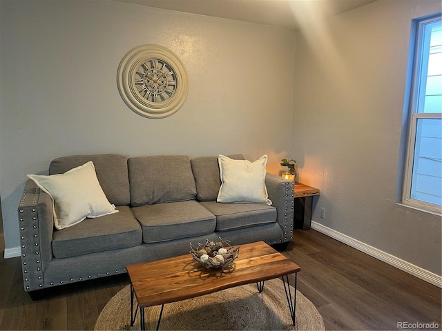 living room with dark hardwood / wood-style flooring