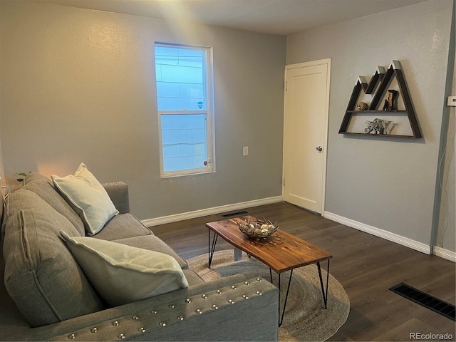 living room with dark hardwood / wood-style floors