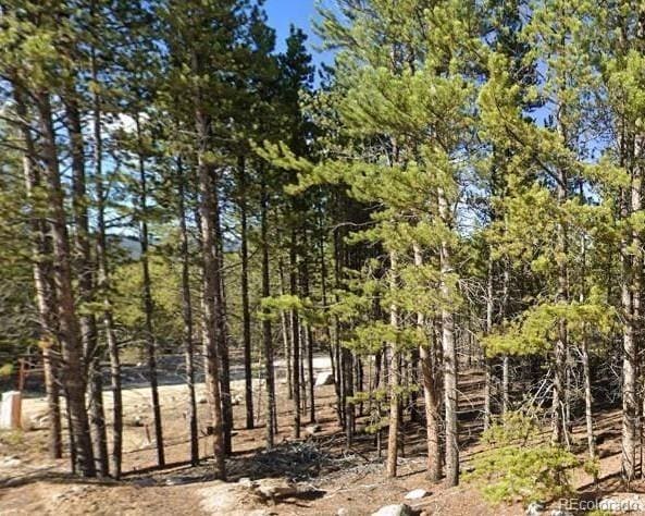 Listing photo 2 for 455 Lodgepole Dr, Leadville CO 80461