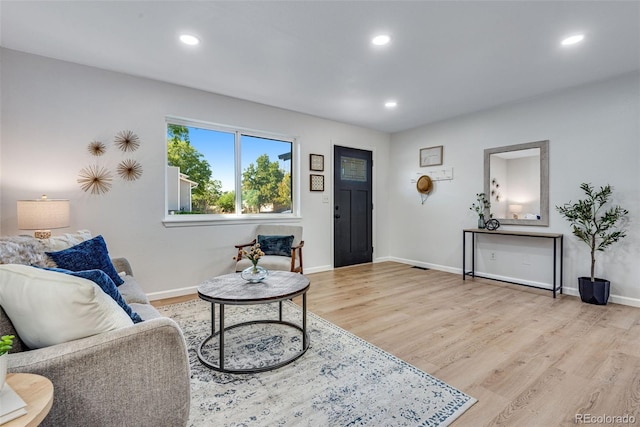 living room featuring light hardwood / wood-style flooring