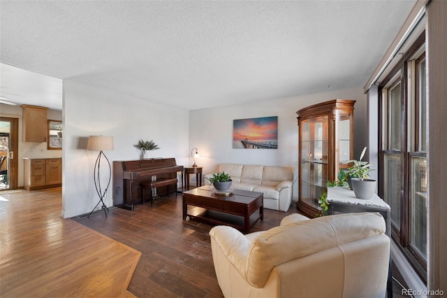 living area with dark wood-style floors and a textured ceiling