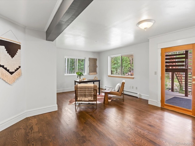 591 Creekwood Trl, Black Hawk, CO 80422 - photo 28