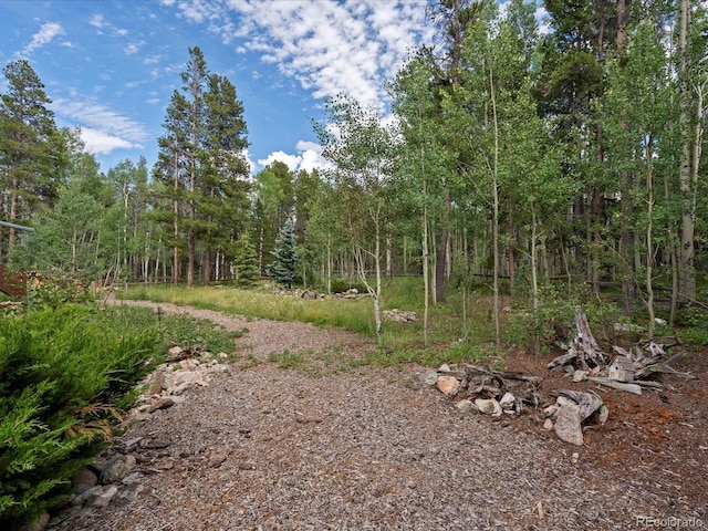 591 Creekwood Trl, Black Hawk, CO 80422 - photo 40