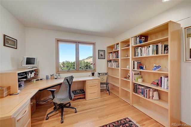 home office featuring light wood finished floors