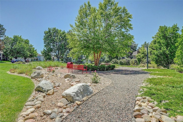 2181 S Troy Way Unit 103, Aurora, CO 80014 - view of yard