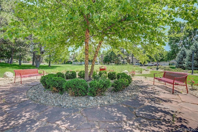 2181 S Troy Way Unit 103, Aurora, CO 80014 - view of home's community with a lawn