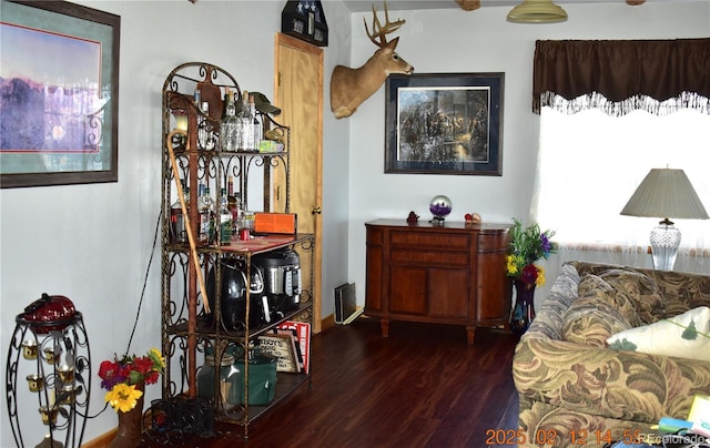 living area featuring dark wood-style flooring