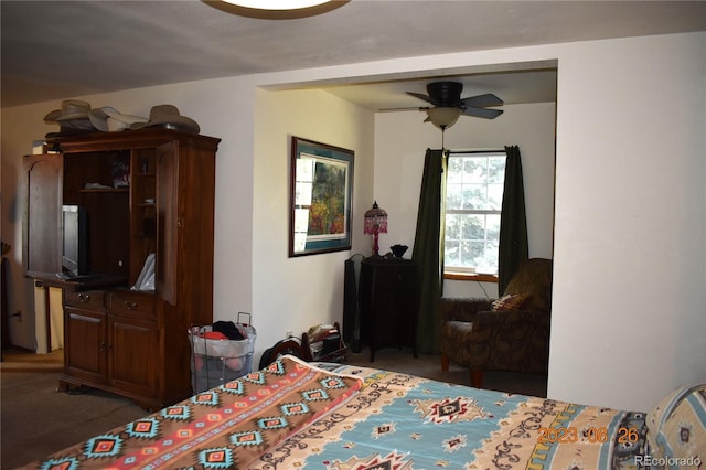 bedroom with dark carpet