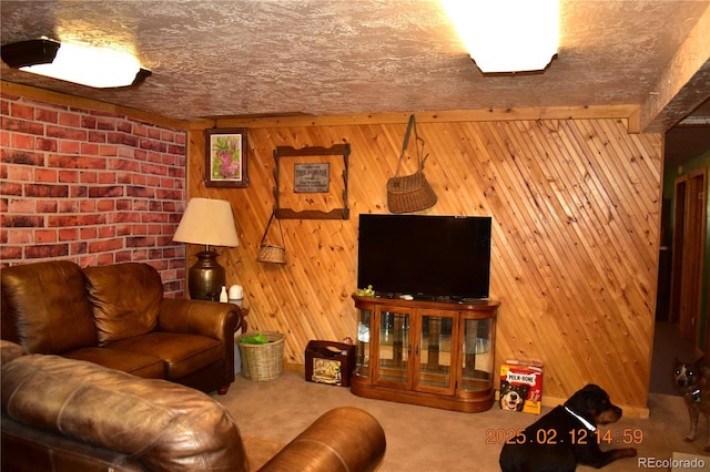 carpeted living room with a textured ceiling