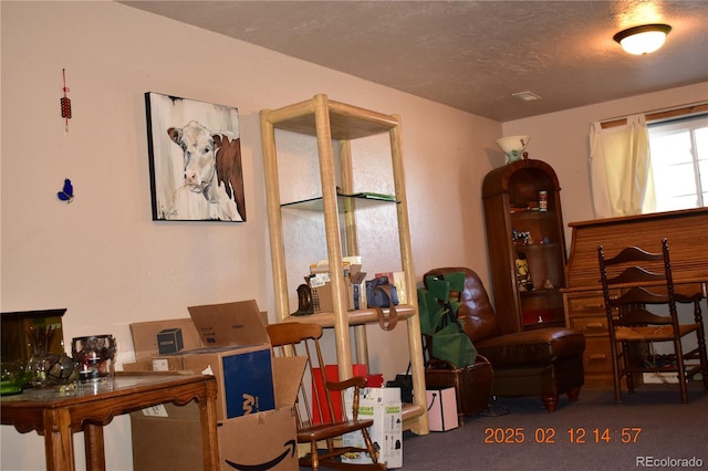 sitting room with carpet flooring and a textured ceiling