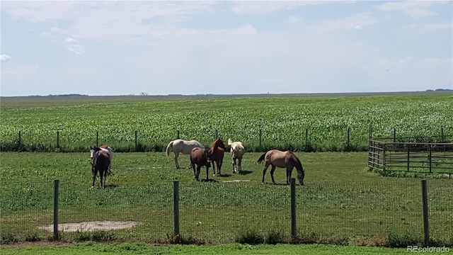 view of community with a rural view