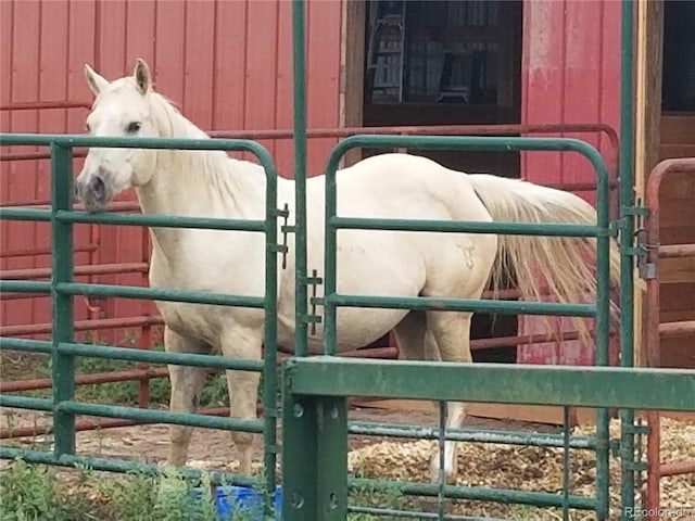 view of horse barn