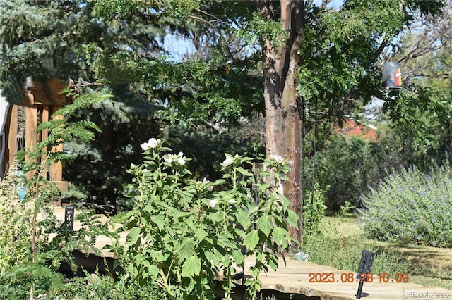 exterior space