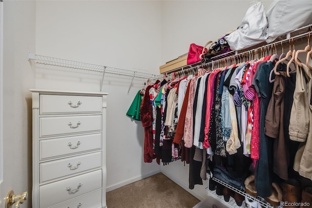 walk in closet featuring carpet