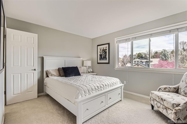 6340 Ashburn Ln, Highlands Ranch, CO 80130 - photo 21