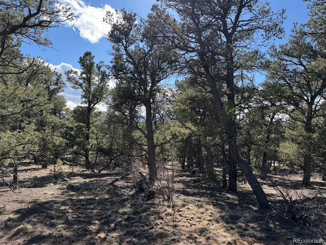 0 14th Trl, Cotopaxi CO, 81223 land for sale