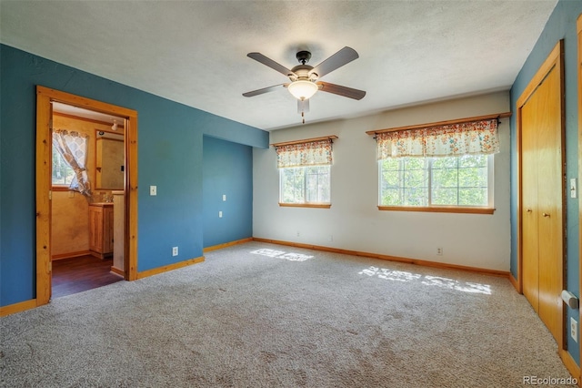 66 Golden Ln, Florissant, CO 80816 - photo 12