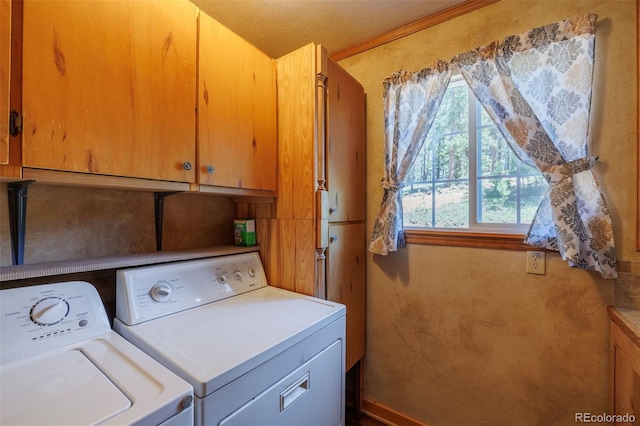 66 Golden Ln, Florissant, CO 80816 - photo 17