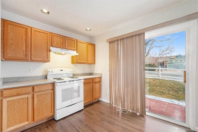 kitchen featuring dark wood-type flooring, electric stove, and a wealth of natural light