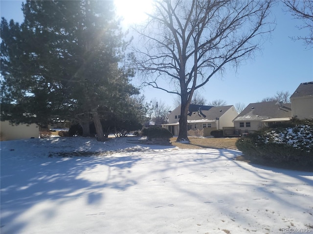 view of snowy yard