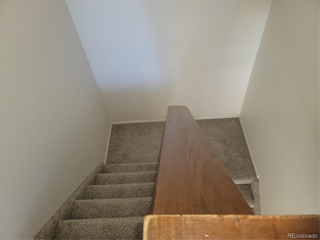 stairway featuring carpet floors