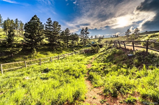 180 Deep Cut Rd, Livermore, CO 80536 - photo 34