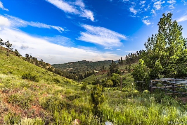 180 Deep Cut Rd, Livermore, CO 80536 - photo 35