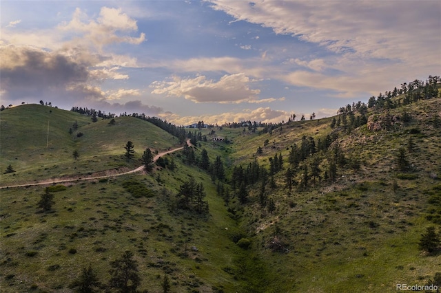 180 Deep Cut Rd, Livermore, CO 80536 - photo 40