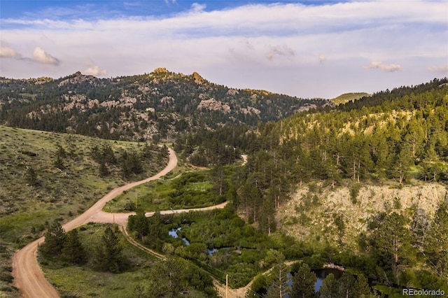 180 Deep Cut Rd, Livermore, CO 80536 - photo 41