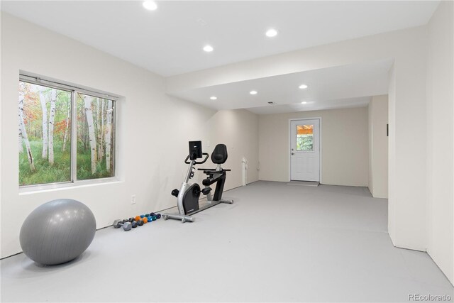 1774 Spring Water Pl, Highlands Ranch, CO 80129 - exercise room with recessed lighting