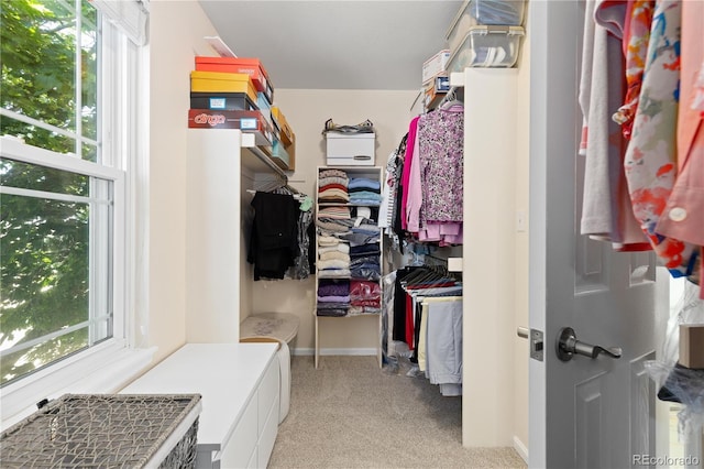 1774 Spring Water Pl, Highlands Ranch, CO 80129 - walk in closet with light colored carpet