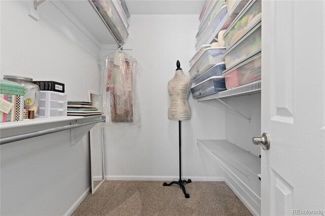 1774 Spring Water Pl, Highlands Ranch, CO 80129 - walk in closet featuring carpet