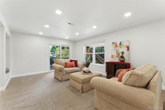 1774 Spring Water Pl, Highlands Ranch, CO 80129 - photo 33