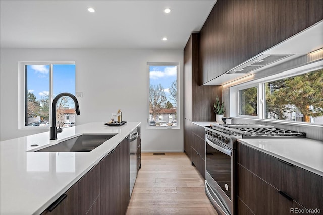 kitchen featuring sink, light hardwood / wood-style flooring, stainless steel appliances, and a healthy amount of sunlight