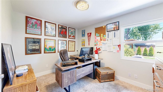1741 W 55th Pl, Denver, CO 80221 - carpeted home office featuring baseboards