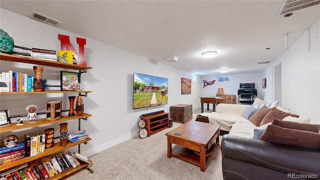 1741 W 55th Pl, Denver, CO 80221 - living area featuring carpet floors
