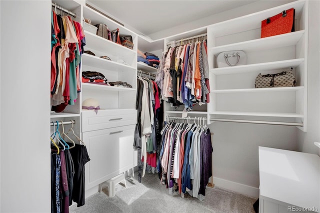 spacious closet featuring carpet floors