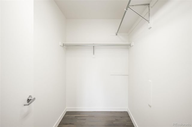 1435 Wazee St Unit 305, Denver, CO 80202 - walk in closet with wood finished floors