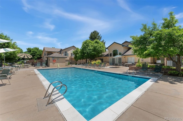 view of pool featuring a patio area