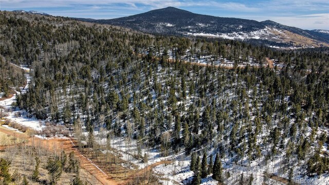 1601 May Queen Dr, Cripple Creek, CO 80813 - photo 2