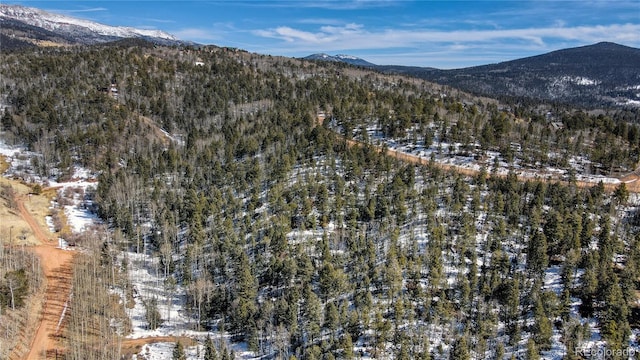 1601 May Queen Dr, Cripple Creek, CO 80813 - photo 3