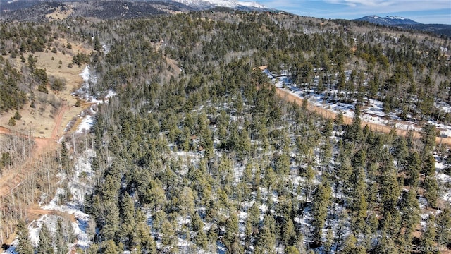 1601 May Queen Dr, Cripple Creek, CO 80813 - photo 4