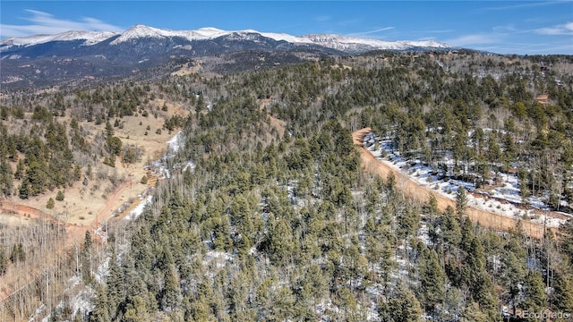 1601 May Queen Dr, Cripple Creek, CO 80813 - photo 5