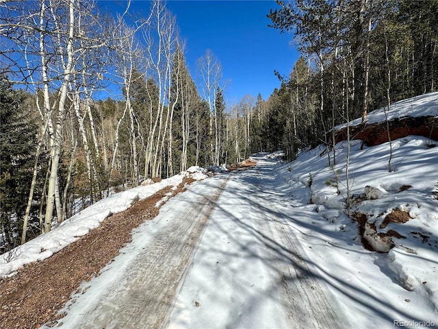 1601 May Queen Dr, Cripple Creek, CO 80813 - photo 6