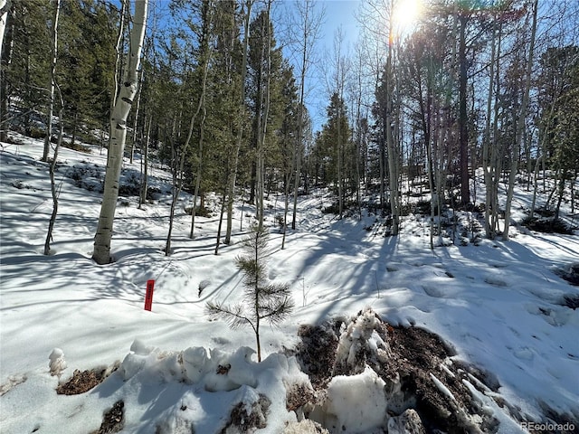 1601 May Queen Dr, Cripple Creek, CO 80813 - photo 7
