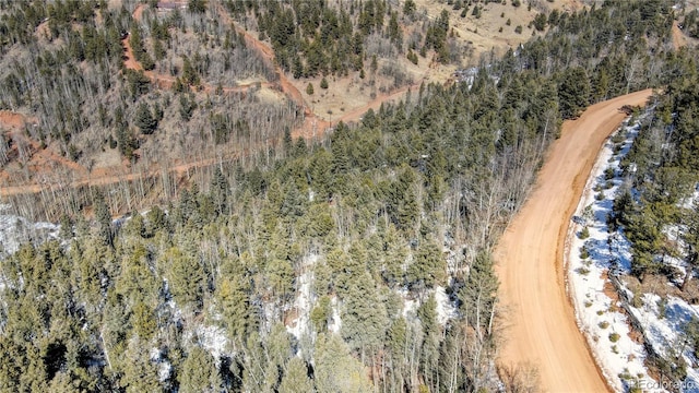 1601 May Queen Dr, Cripple Creek, CO 80813 - photo 8