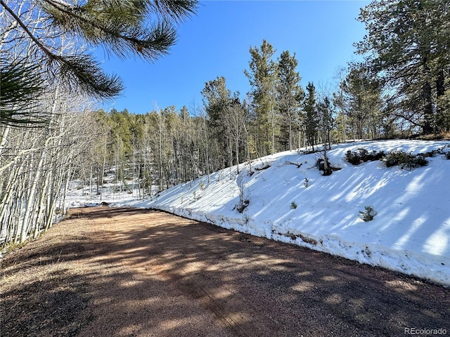 1601 May Queen Dr, Cripple Creek, CO 80813 - photo 9
